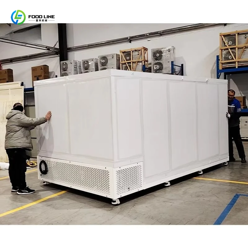 Customized Movable Cold Storage Chamber Small Mobile Cold Storage Chamber With Container Condenser Device