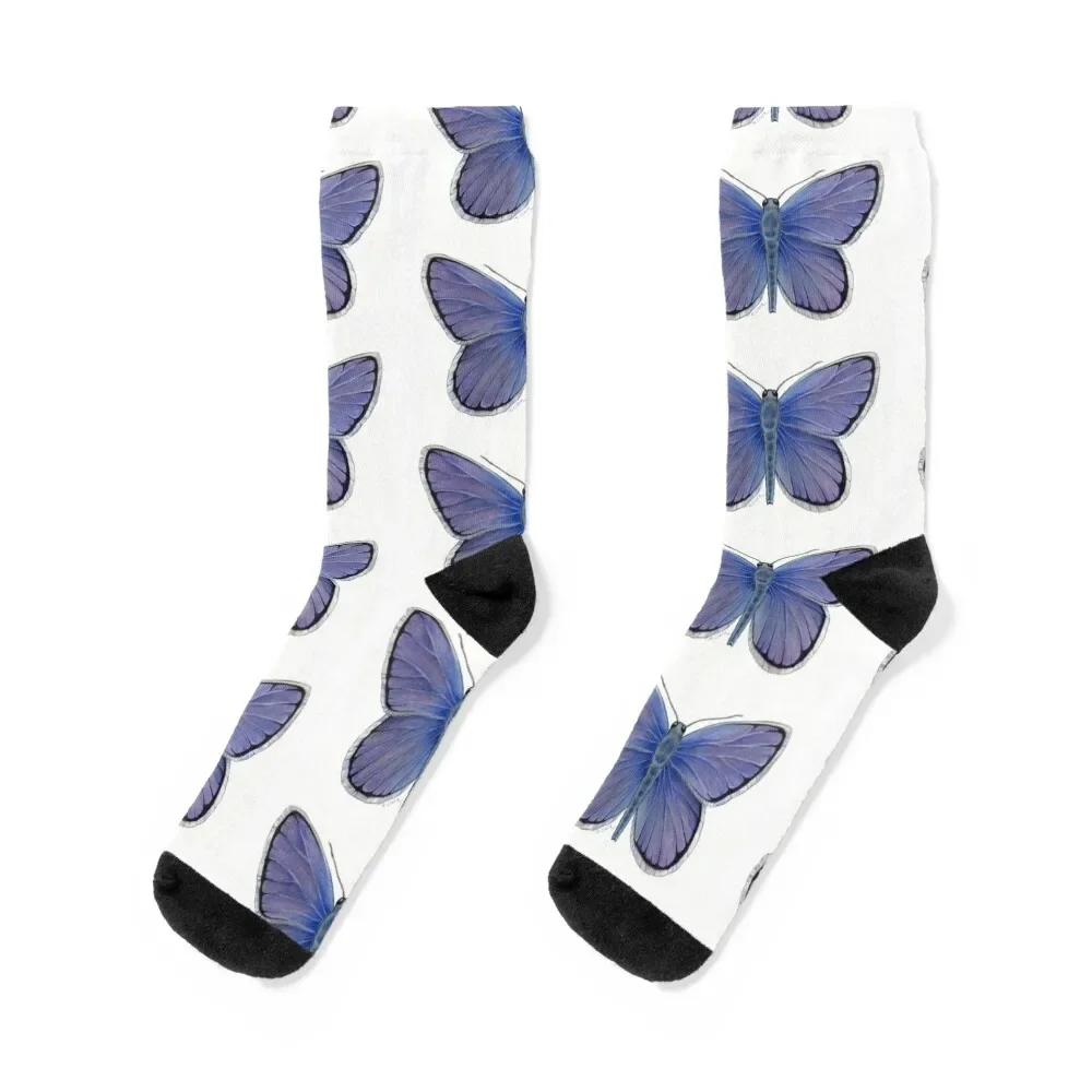 Karner Blue Butterfly Socks meias em movimento meias estéticas femininas masculinas