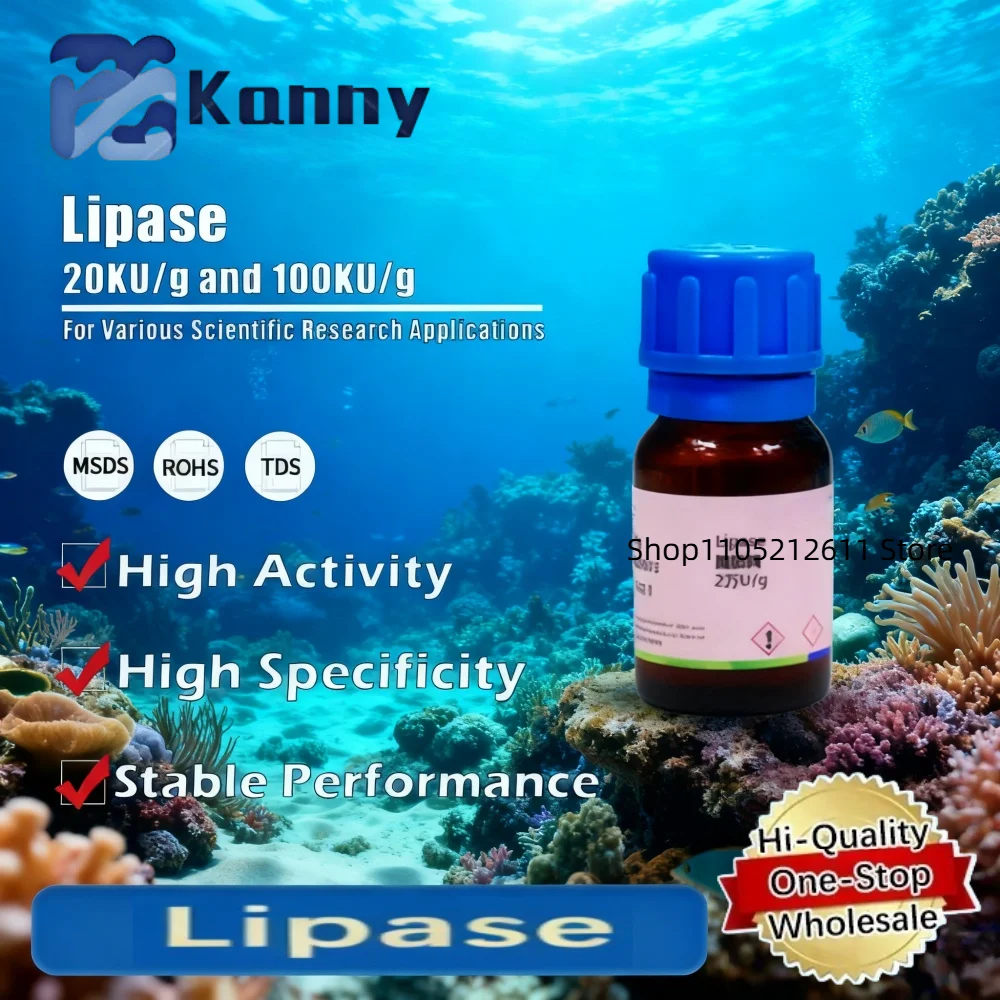 Lipase Enzyme for Biochemical and Research Applications Original Product