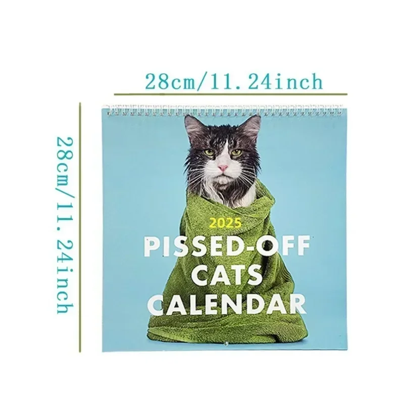 2025 Cat Calendar - Cats And Coffee, 8.5