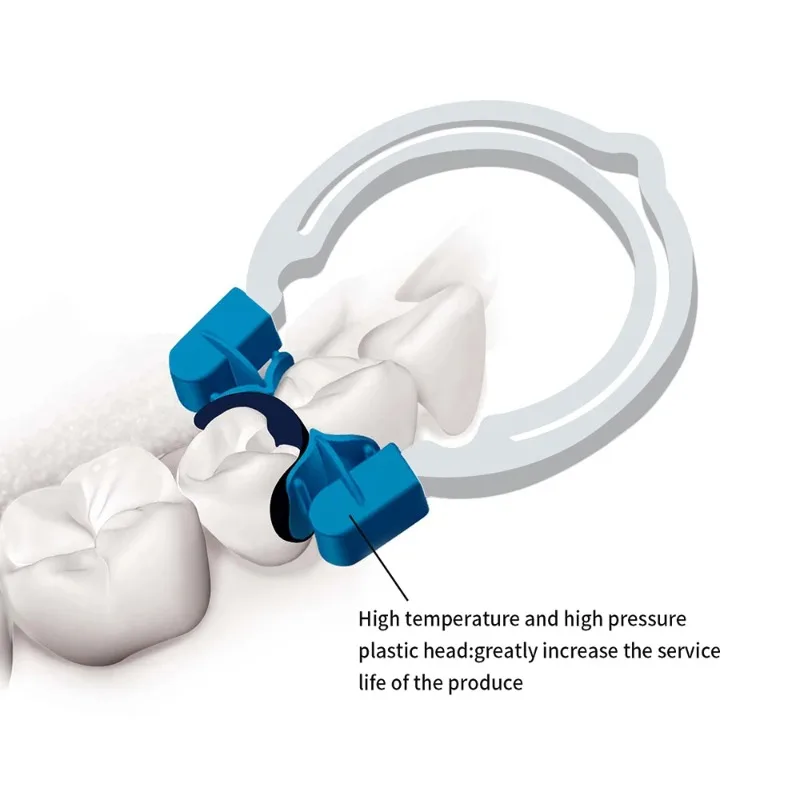 

Dental New Douban Forming Tablet Clamp Matrix Cross Sectional Profile Matrix Fixture Model Dental Restoration Auxiliary Tool