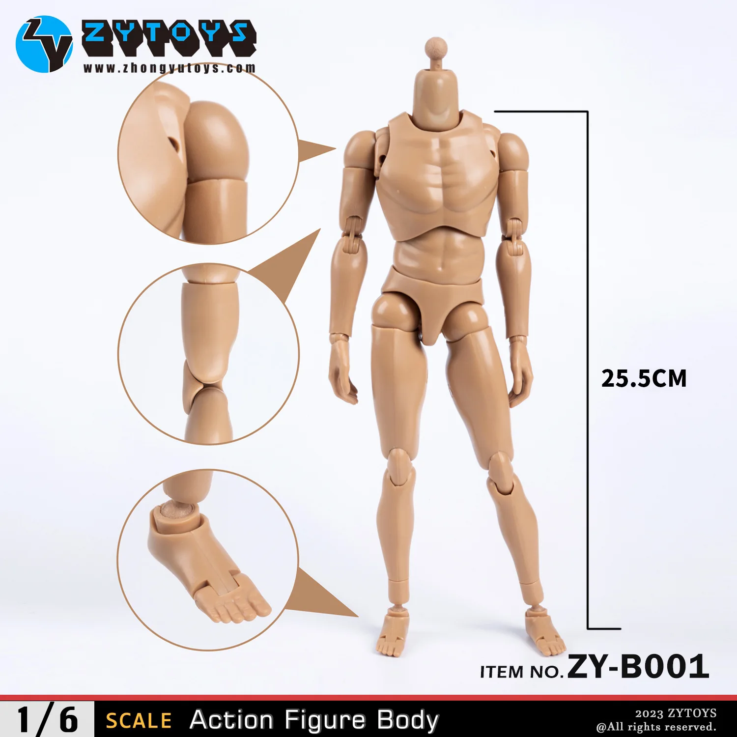 ZYTOYS ZY-B001 B002 B003 B004 1/6 Male Wheat Black Joint Body Male Soldier Narrow Wide Shoulder Flexible Action Figure