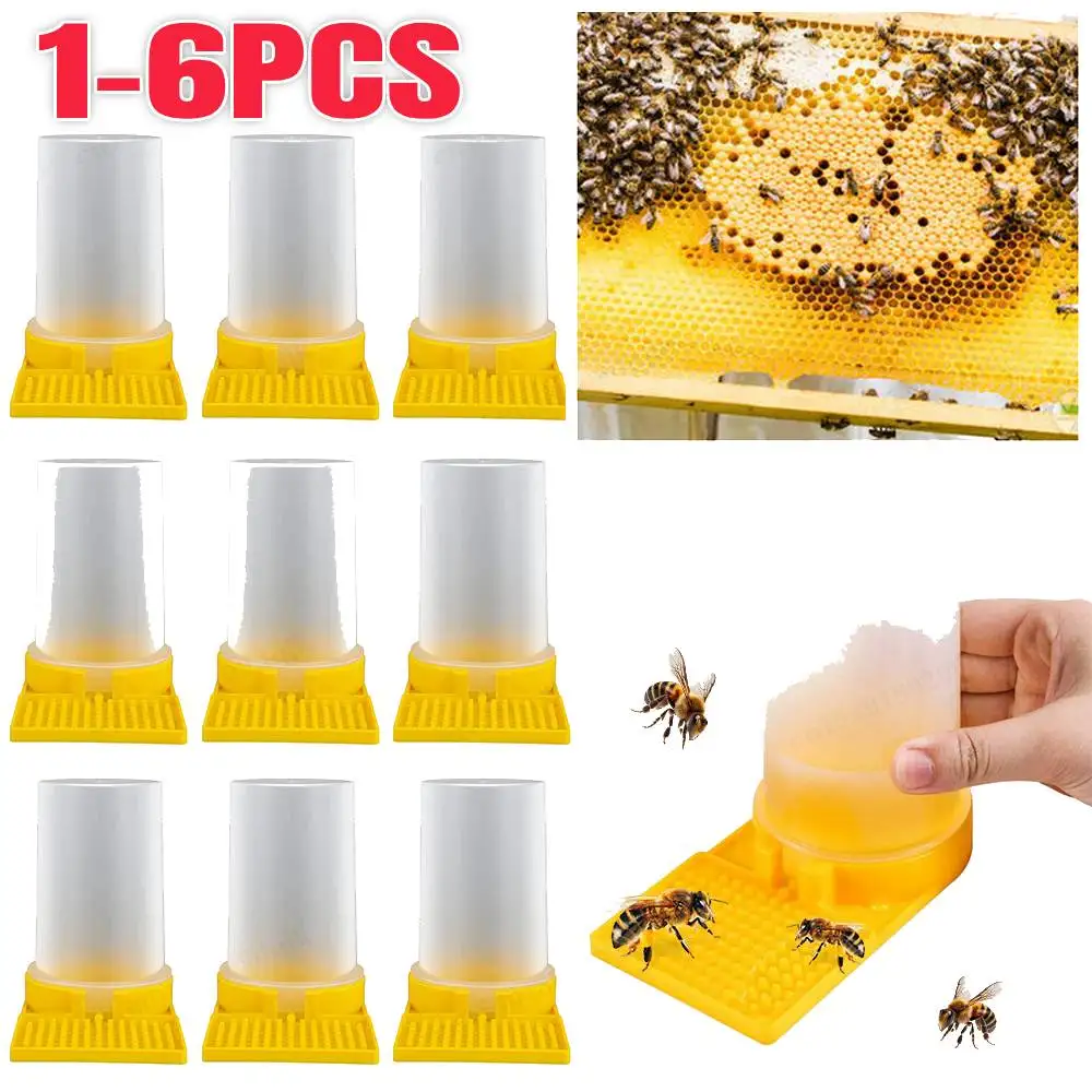 Bee Feeder Drinking Water Honey Bee Feeders Watering Bees Supplies Feeding Bee Drinker Beekeeping Equipment and Tools