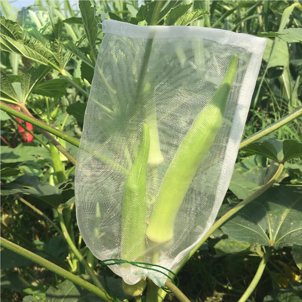

50 шт., сетка от насекомых, садовая защита фруктов, многоразовая крышка для растений для вредителей, птиц, барьер для животных, сумка для замачивания риса, дракон