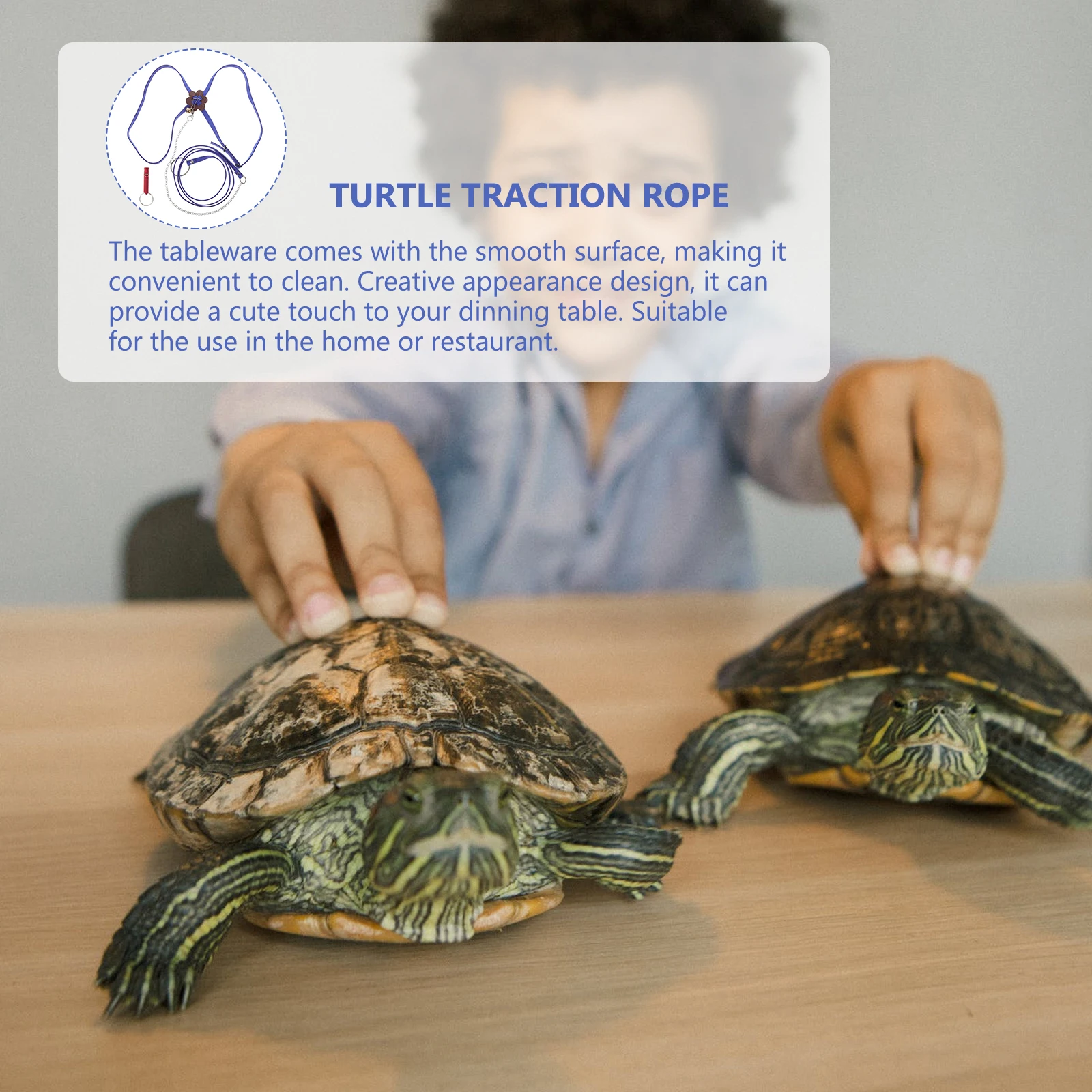 

Turtle Traction Vest Practical Pet Accessory Tortoise Tow Rope Hauling Leash Pulling Korean Velvet Walking Supplies Outdoor