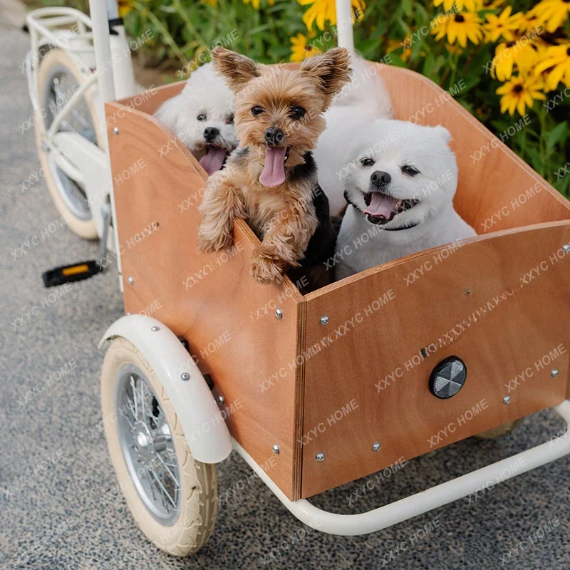 Троллейбус для маленьких собак