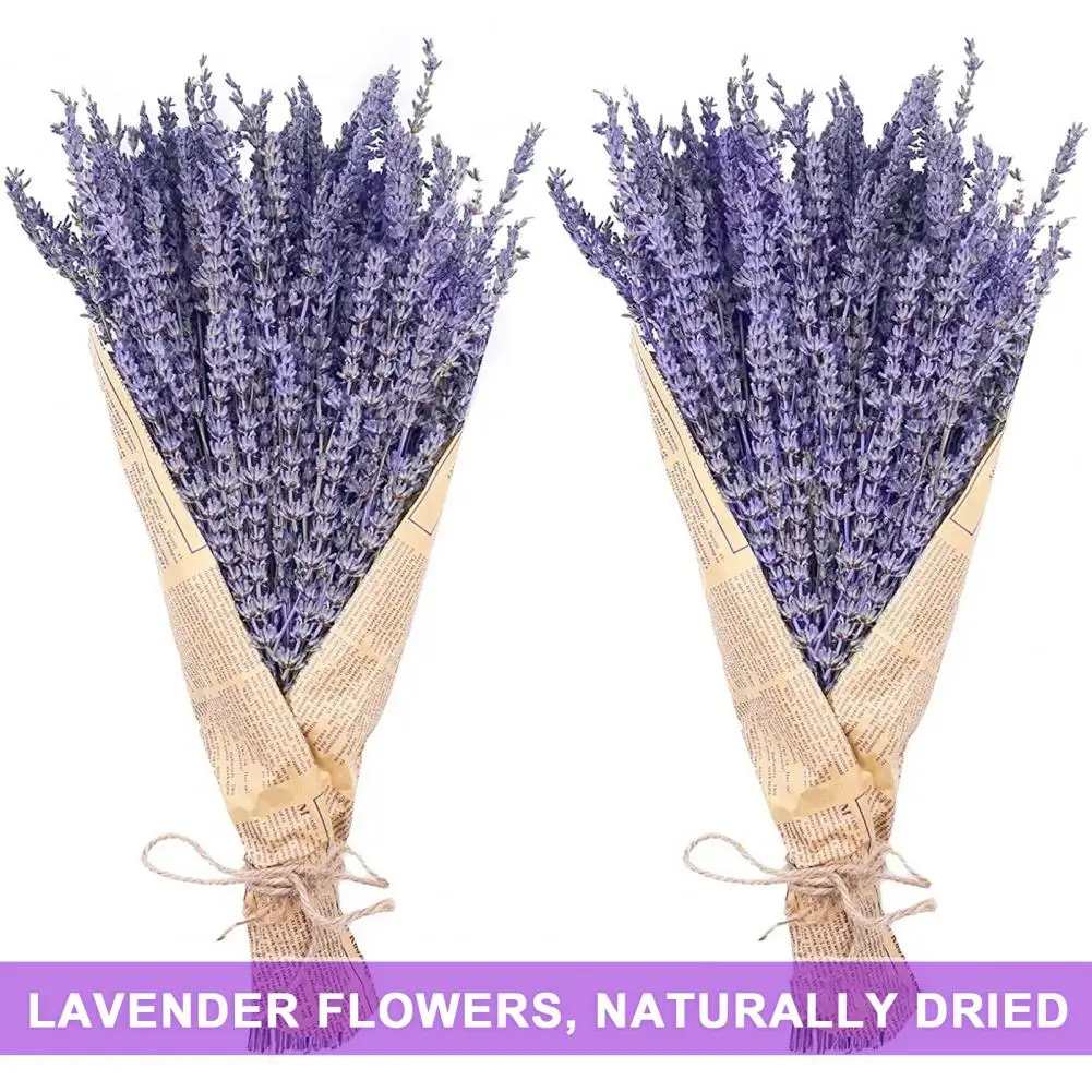 1 Box Natural Dried Lavender Sweet Scent No Watering Wedding Decor Bedside Better Sleeping Flower Arrangement Natural Plants