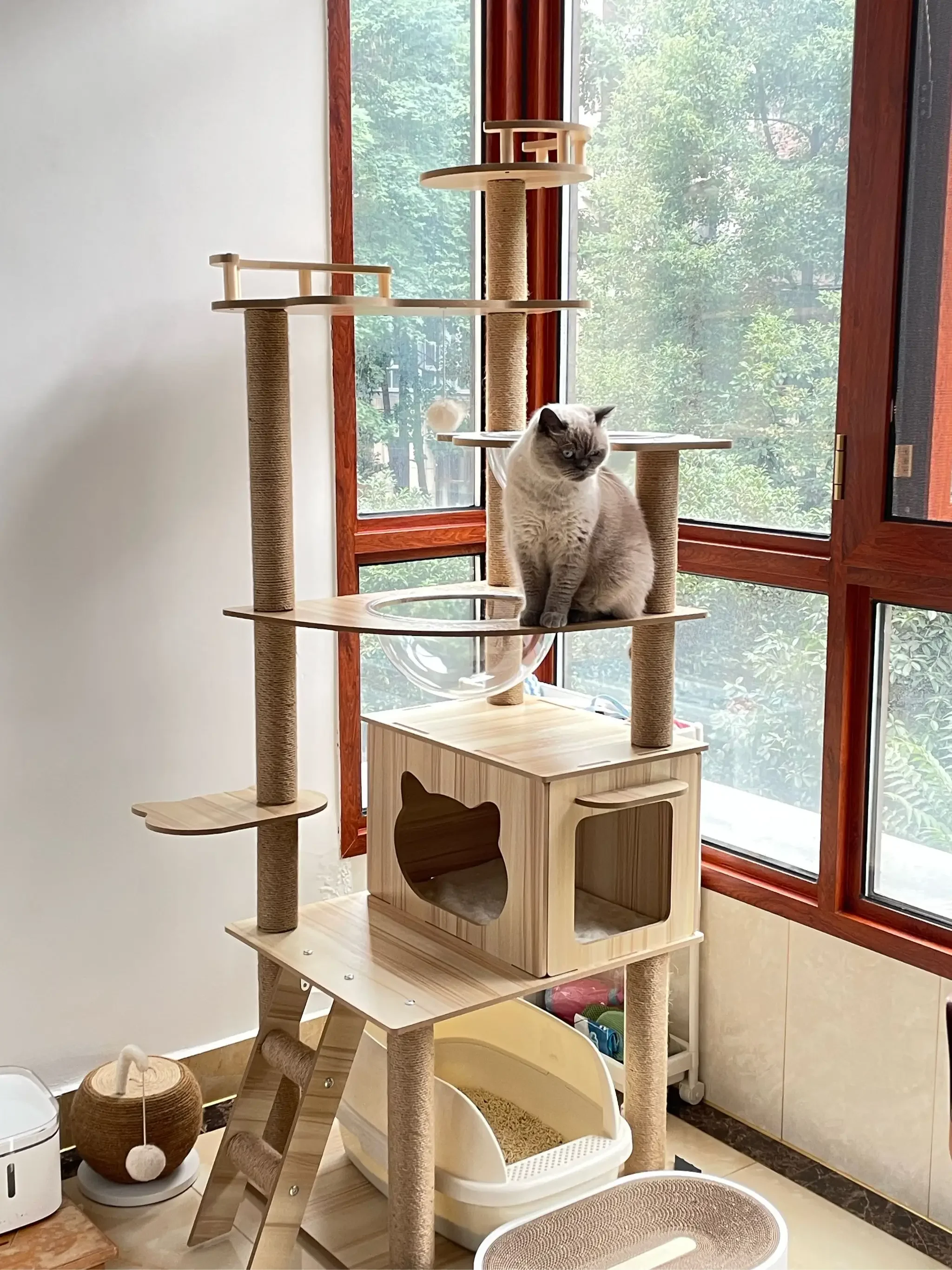 Cadre d'escalade multi-niveaux pour chat, arbre à chat, corde en Sisal, tour à chat, grattoirs, poste à gratter, jouets pour chats, jambes de meulage