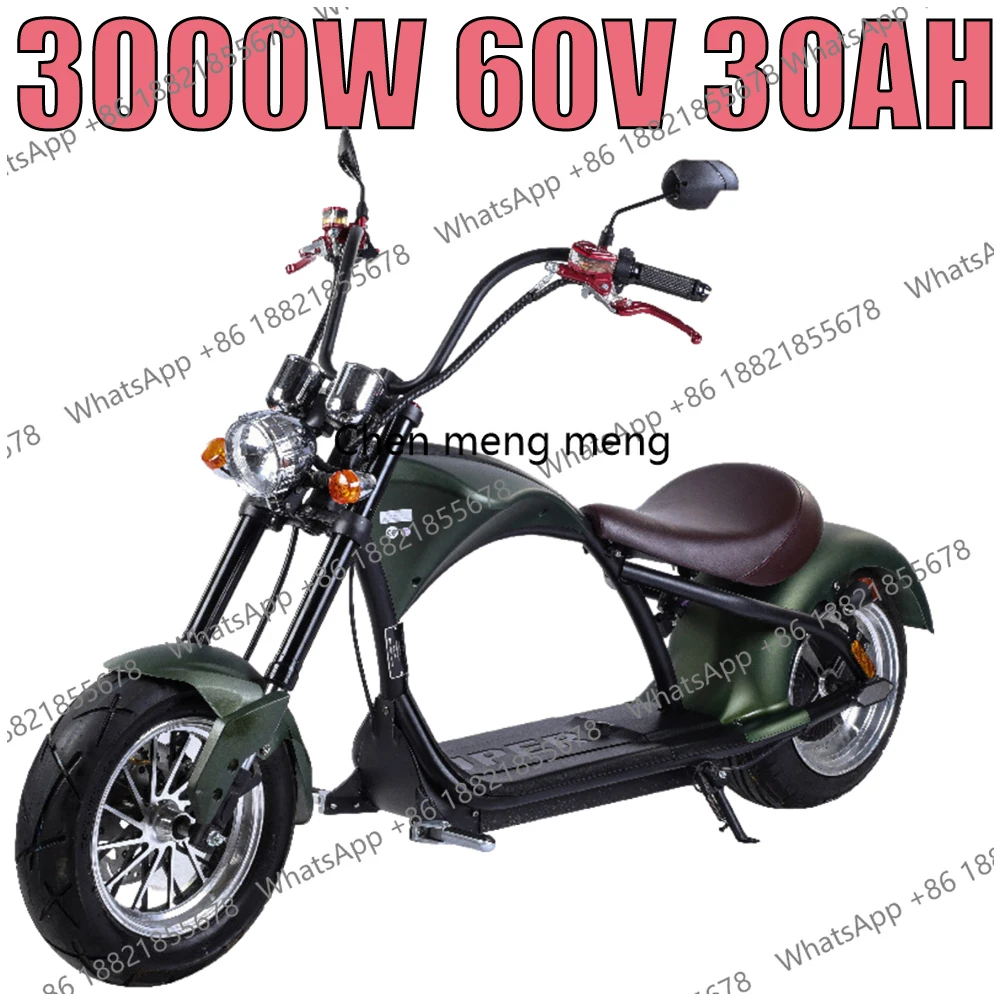 New Electric Motorcycle Adult 3000W60V30AH Removable Lithium Battery Off-road Mountain Fat Tire Double Seat Electric
