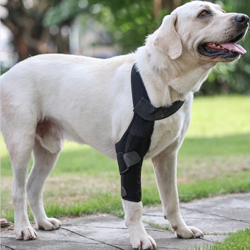 Adjustable Dog Legs Brace Prevents Wounds and Provide Warmth for Recovery Against Licking Assists Brace KXRE