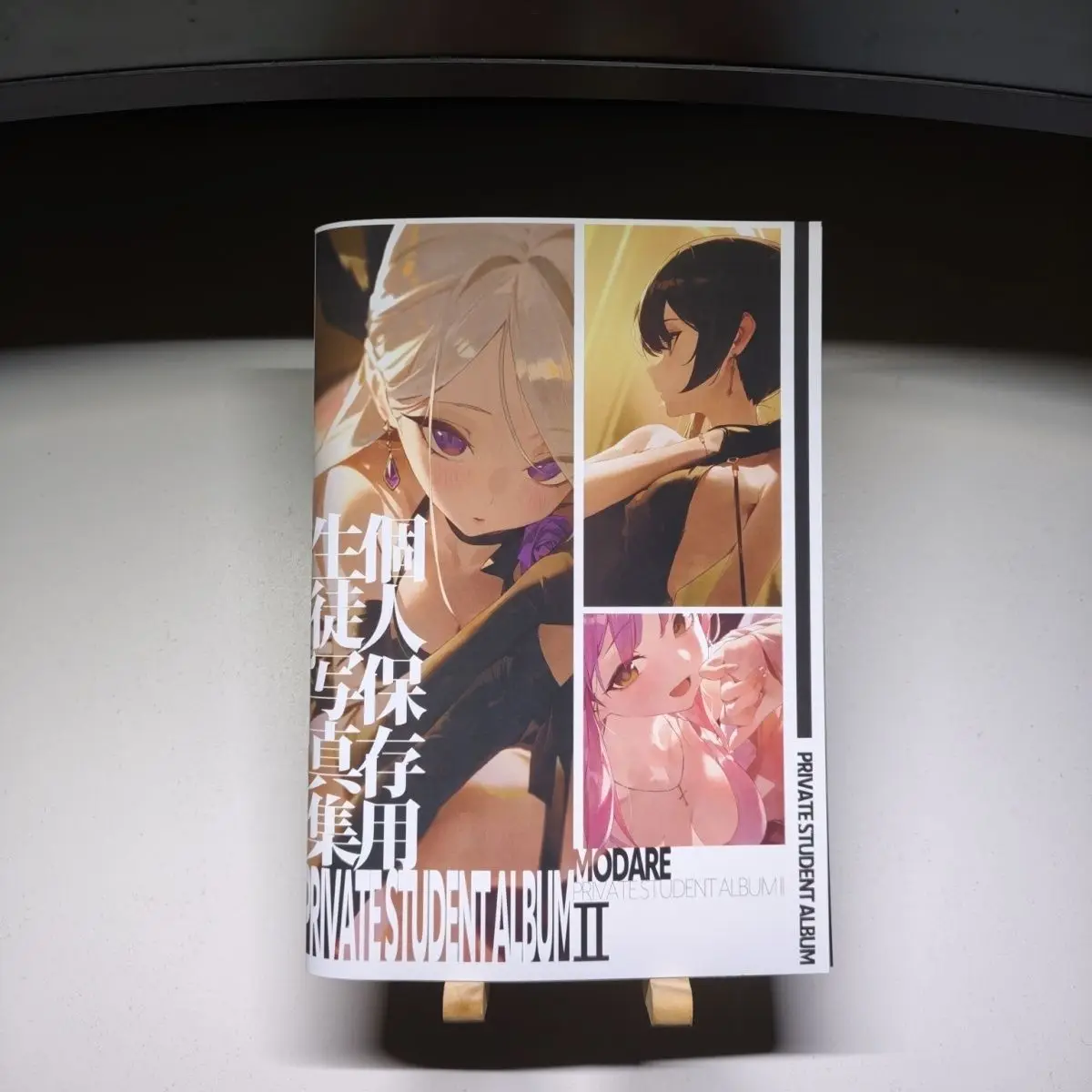 Blue Archive PRIVATE STUDENT ALBUM II Fanbook - MODARE Illustration Art Book, Anime Game Doujinshi, Gift for BA Fans