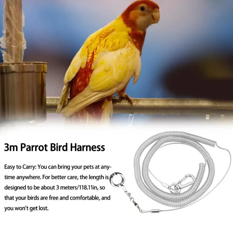 3/6m Flexible Bird Leash with Leg Ring Ultra-light Parrot Bird Harness Anti-bite Outdoor Flying Training Rope for Parrot