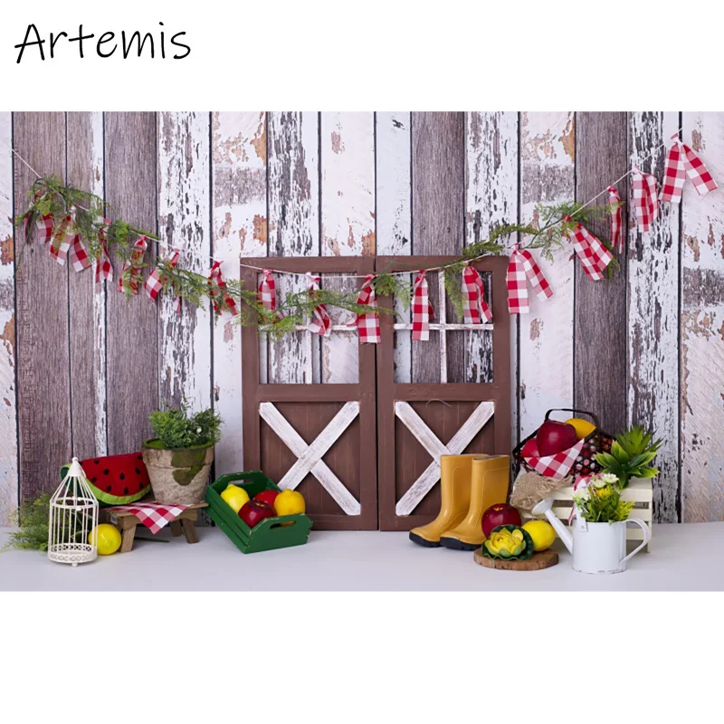 Kindergeburtstag Porträt Foto Hintergrund Holztür Wassermelone Stiefel Kuchen Zerschlagen Dekorieren Hintergrund Kunst Fotografie Requisiten Studio