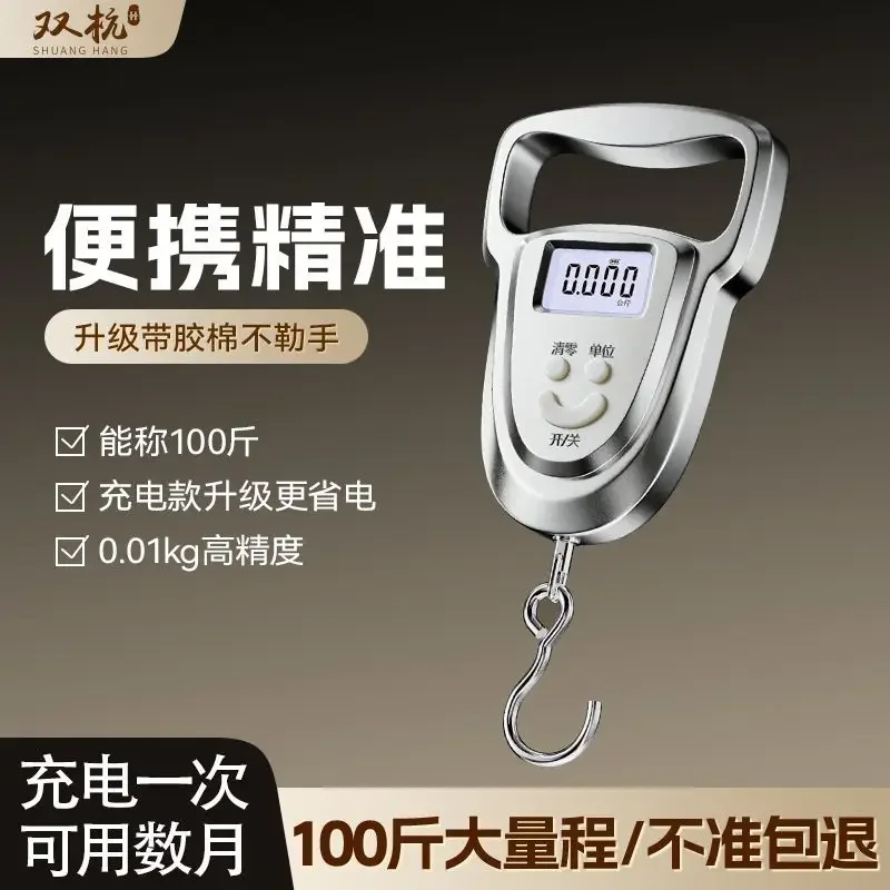 Portable Electronic Scale High Precision Portable Mini Household Small Spring Scale Hook Express Shopping Fishing