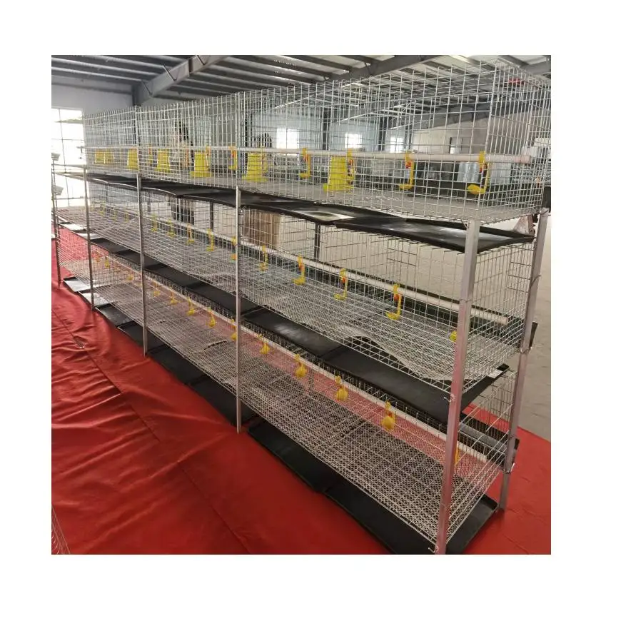 H Type Broiler Cage 4 Tiers Large Capacity 80 Pieces Length 1.4 Metres Width 70 Cm Strong and Durable for Sadio