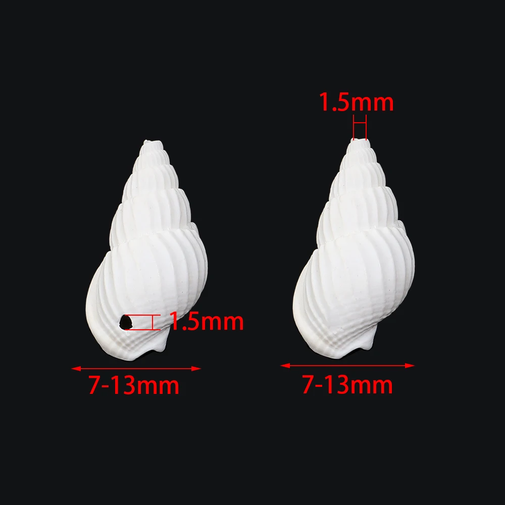 Thumbnail 2 - #66 Latest Vase Fillers Offers