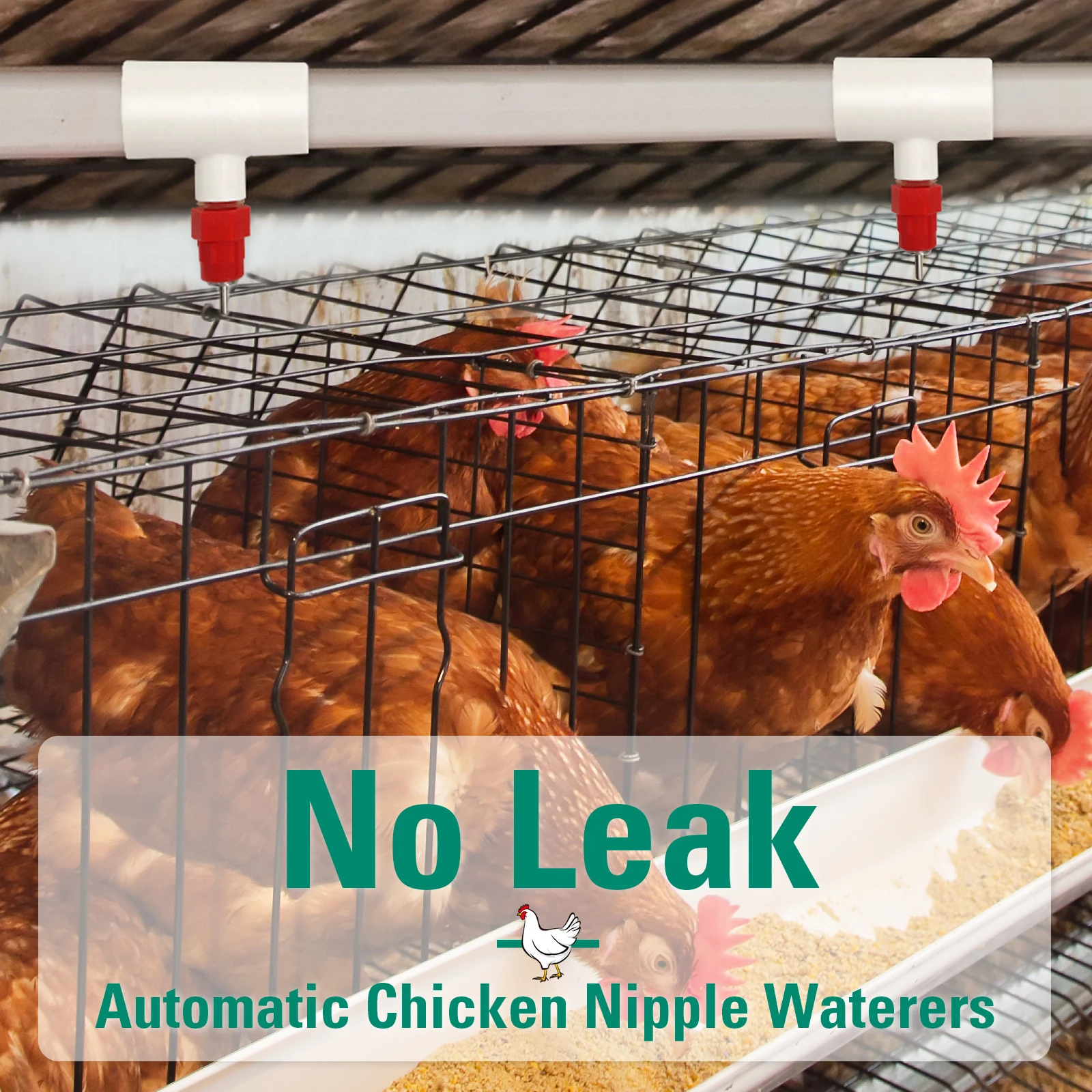Thumbnail 4 - #30 Compare Automatic Livestock Feeders Before You Buy