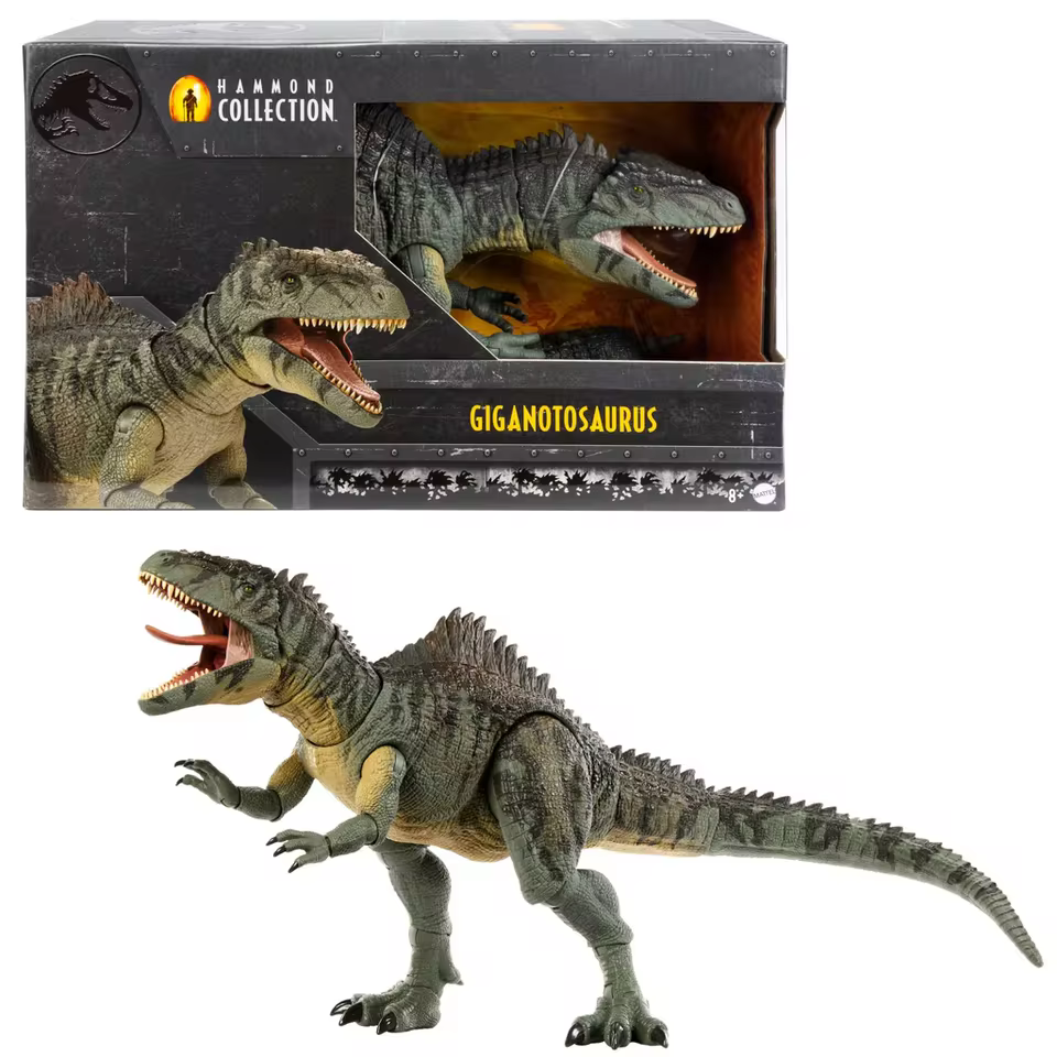 Mattel Jurassic World Dominion Hammond Collection Giganotosaurus Dinosaur Figure Collectible Toy Children's Birthday Gift HXF57 - AliExpress 