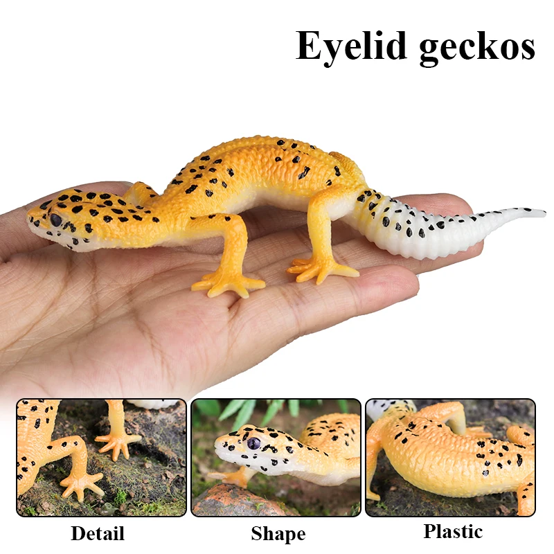 Oenux Reptil Tiere Wild Chamäleon Eidechse Lguana Thorny Teufel Gecko Action Figur Modell Figuren Bildung Spielzeug Für Kinder Geschenk – Detail 5