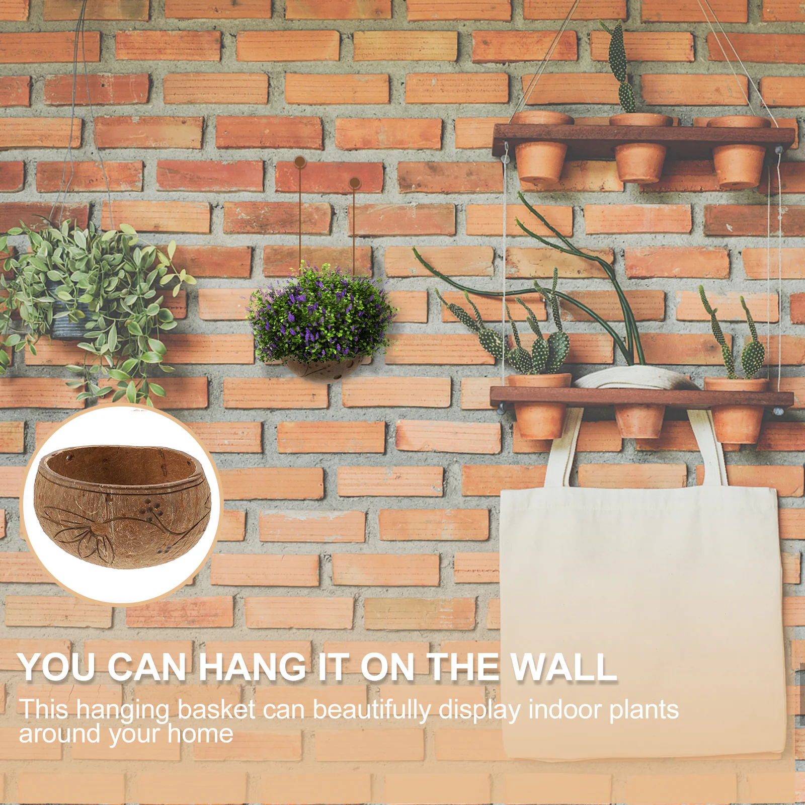 

Hanging Flower Pot Coconut Shell Planter For Succulents Herbs Indoor Outdoor Garden Decorative Bonsai Hanging Plant Container