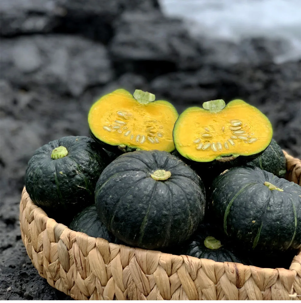 [Pedido] Jeju Minibabash 3kg 6-10 Piezas/Royal/Medio