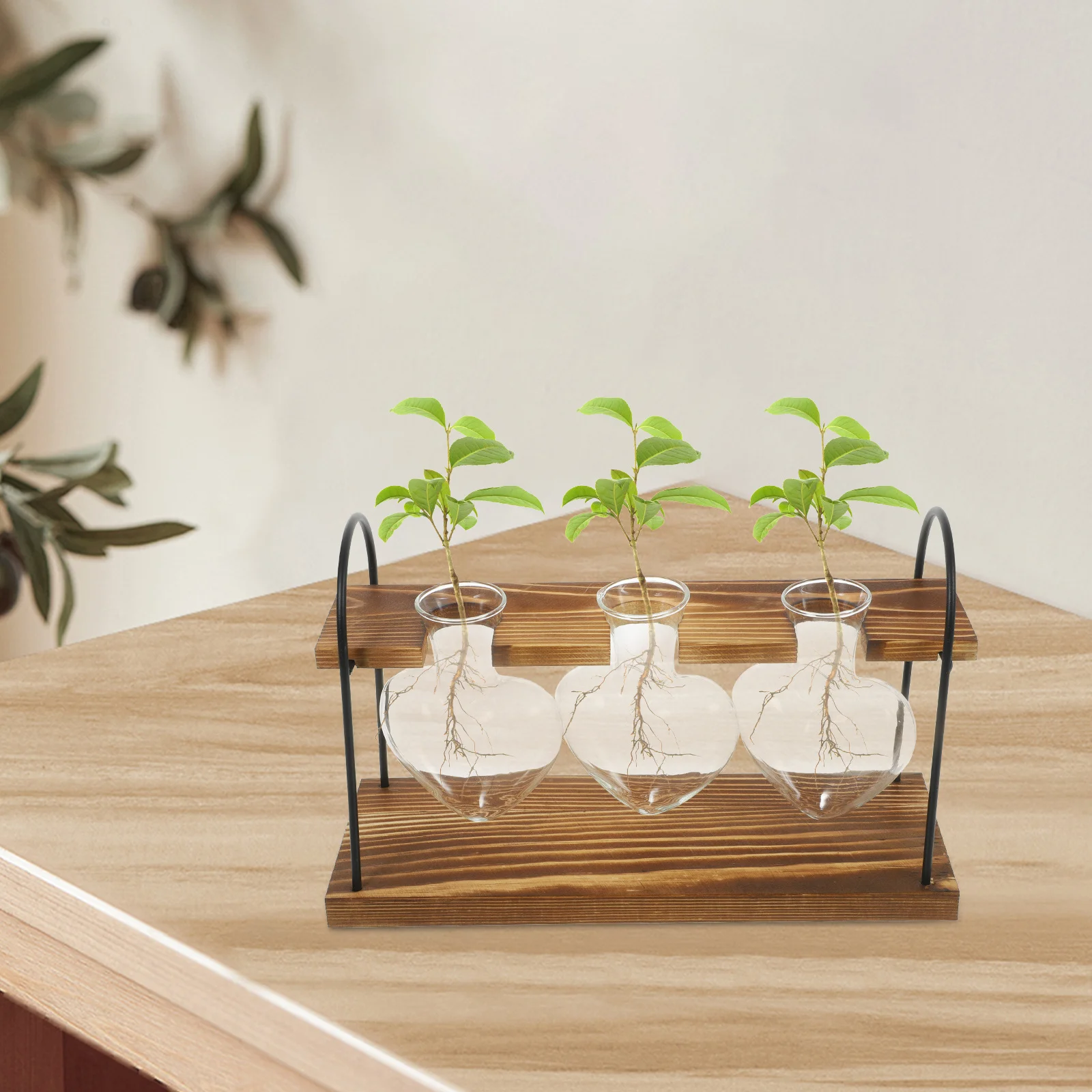 

1Set Plants Terrarium Wooden Stand Hydroponic Planter Desktop Glass Vase Indoor Decorative Plant Holder for Home Office Garden