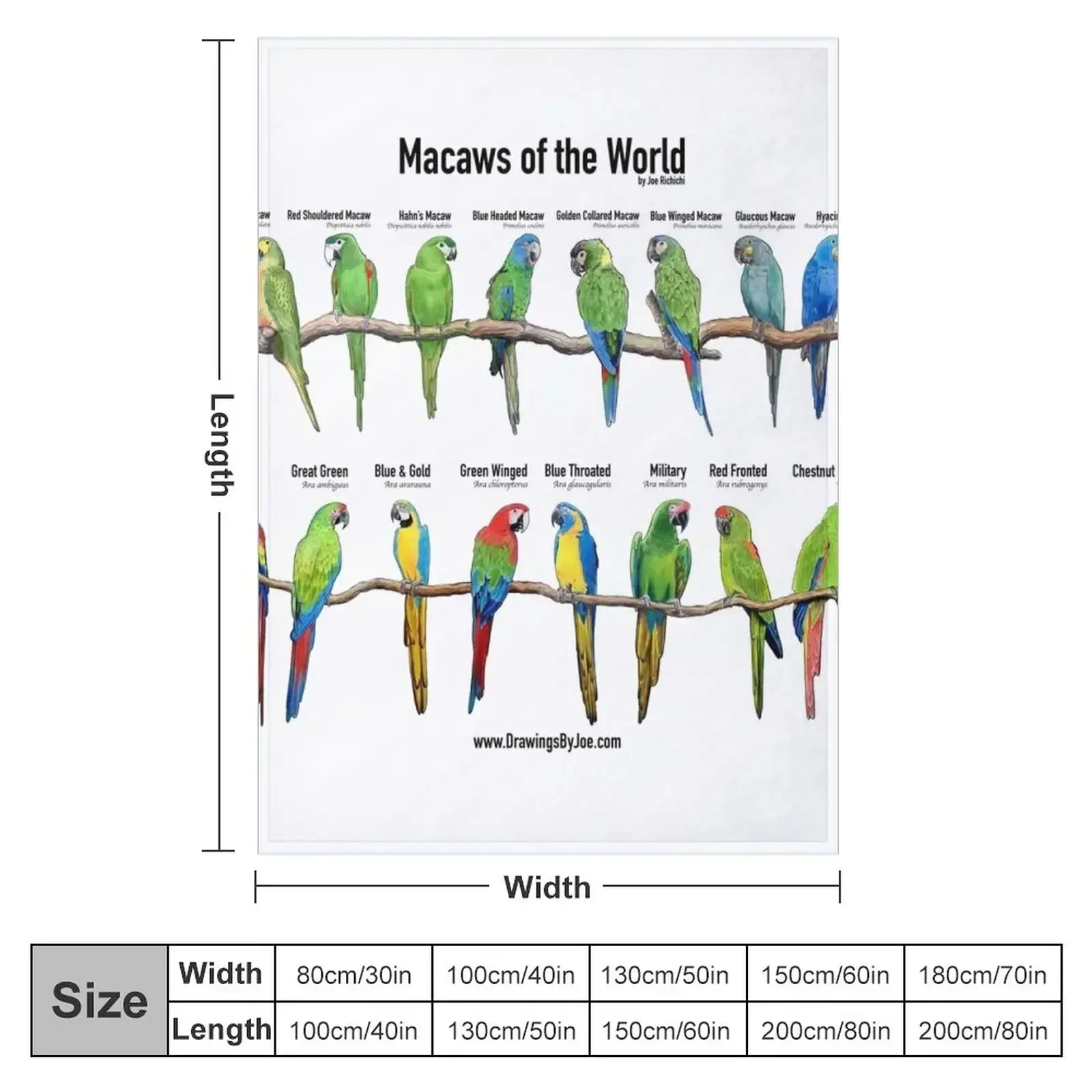 Macaws of the World Throw Blanket Blankets For Bed Custom Plaid on the sofa bed plaid Blankets