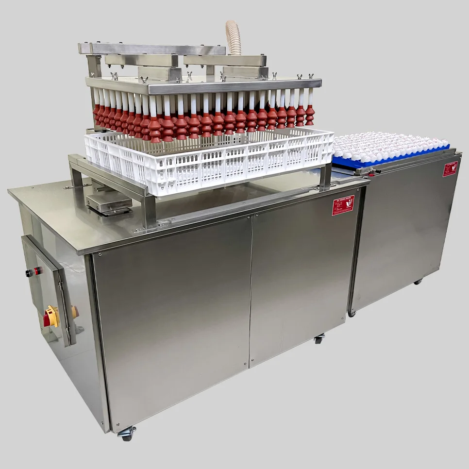 AIROW YFZD-150 Egg Candling Table and Transfer Machine Commercial China alibaba Supplier PS PF Automatic