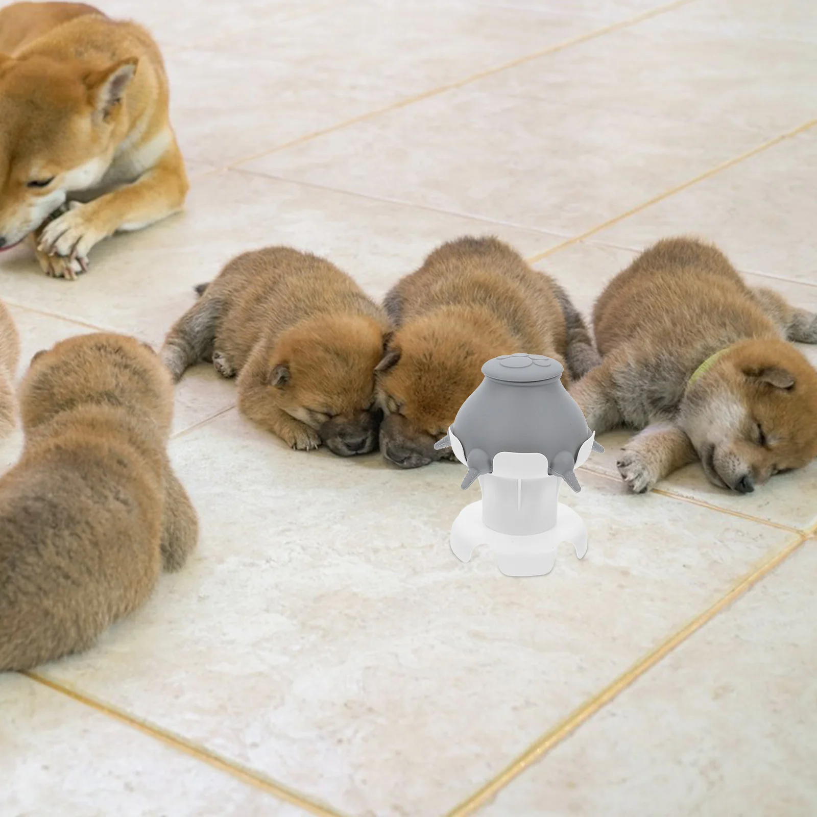 

4pcs Puppy Feeder Silicone Milk Bowl For Multiple Puppies Nursing Station Pet Feeding Device Detachable Nipple Bowl For Dogs