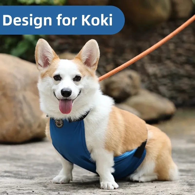 Delantal impermeable para proteger la barriga del Corgi, ropa para perros pequeños de pierna corta, ropa para mascotas, disfraz de Bulldog Francés y Pug