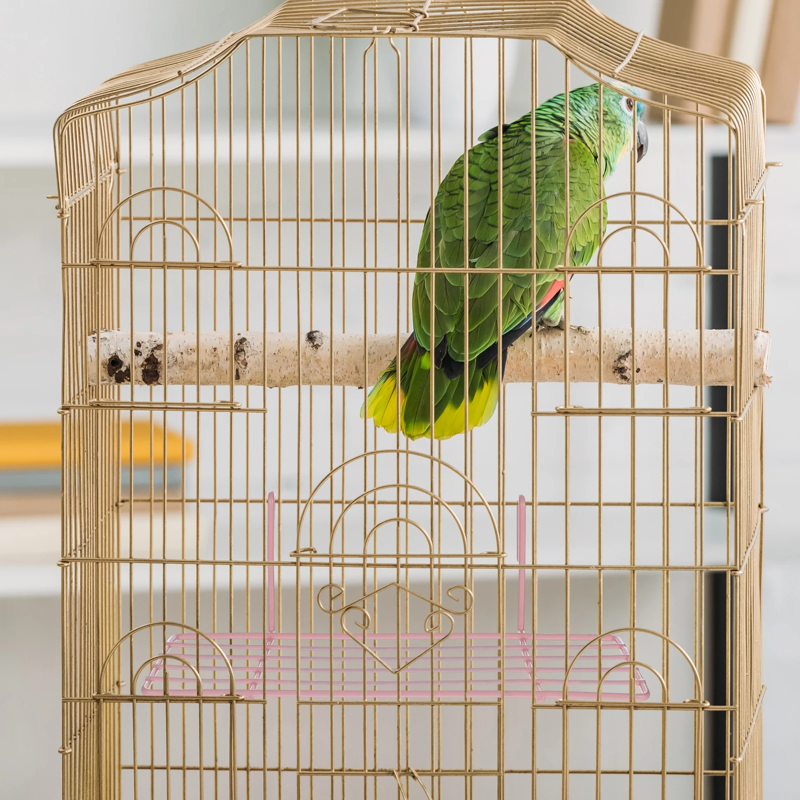 

Parrot Cage Shelf Iron Frame Sturdy Perch Platform For Parakeets Durable Metal Installation Multi-Functional Playstand
