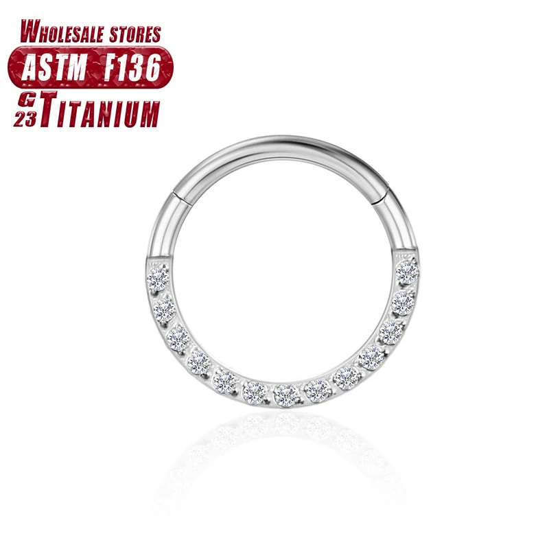 Women's Titanium ZC Nose Rings & Hinged Segment Earrings, Versatile