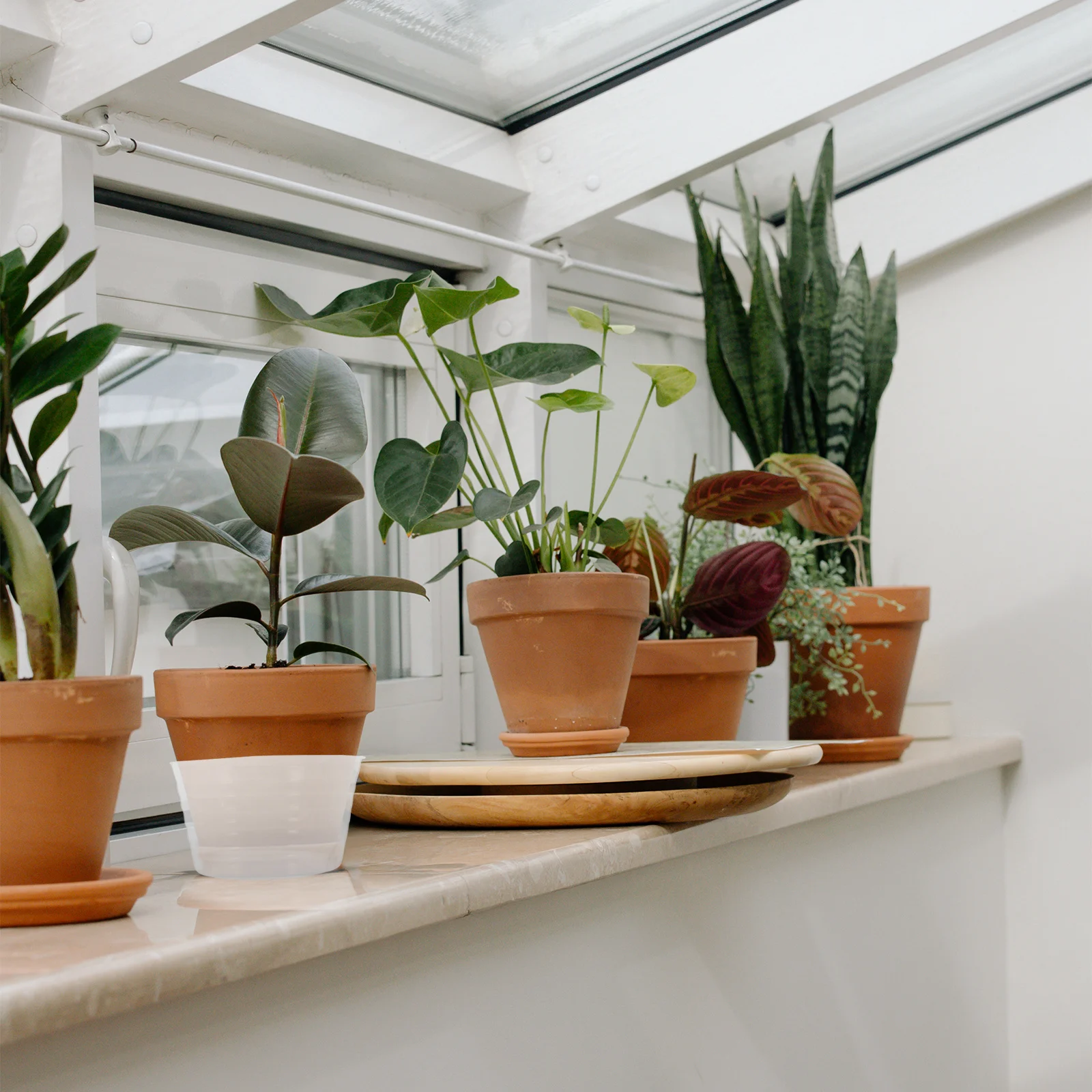 12 Stuks Duurzame Plastic Plant Pot Schotel Waterdichte Lekbak Bloempot Doorzichtige Plastic Bloempot Lade Tuin Plant Waterbakken