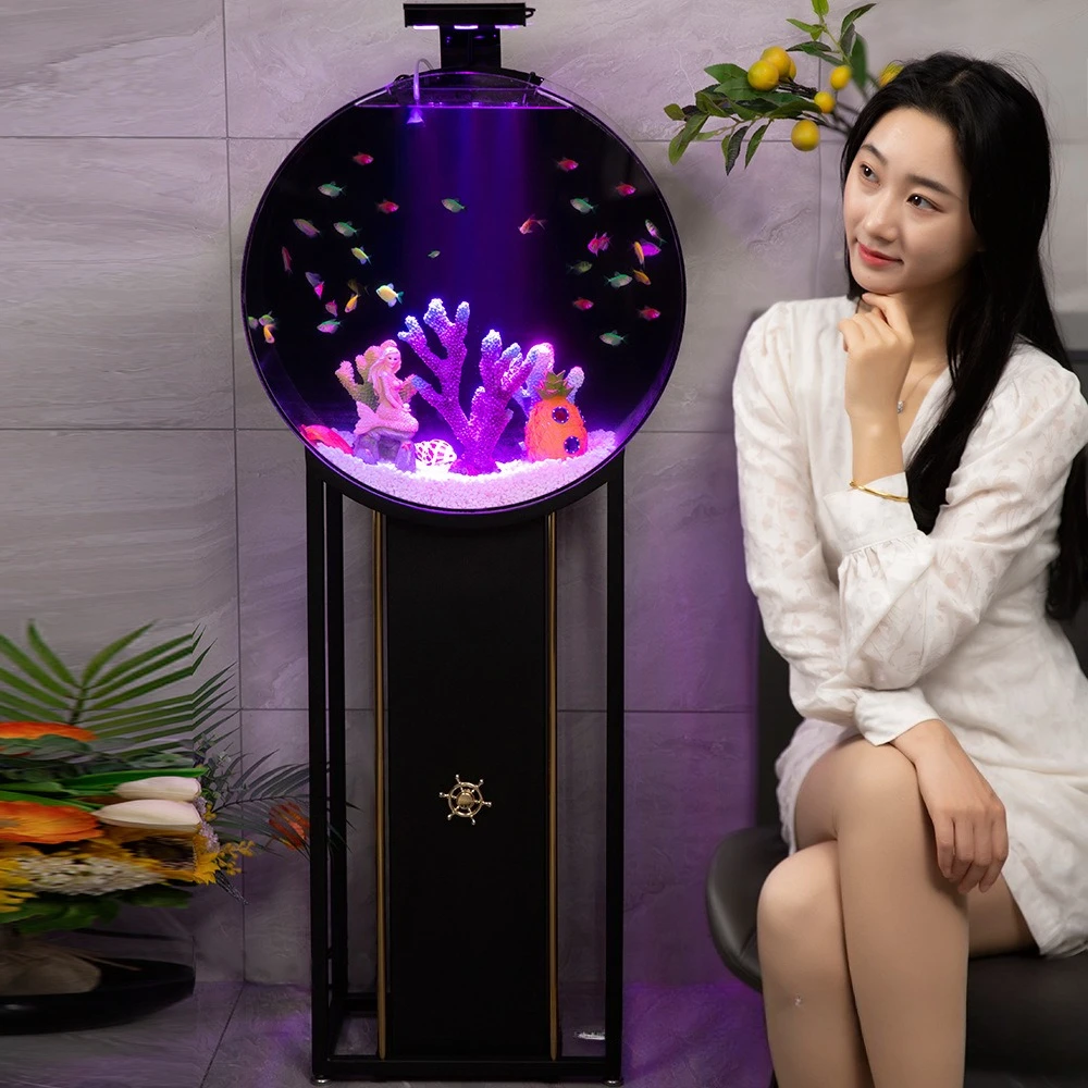 New Creative Internet Celebrity Fish Tank Ecological Landing Living Room Fish Tank Small Goldfish Tank