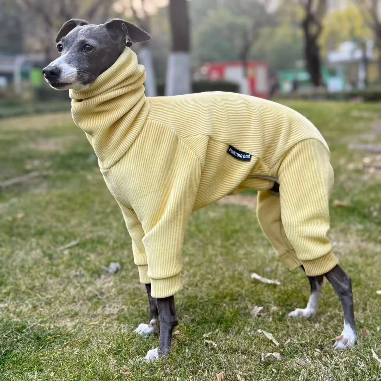 

Зимняя теплая флисовая куртка для итальянских грейхаундов, осеннее теплое регулируемое серое пальто для виппетов, синяя пижама для собак весом от 3 до 25 кг