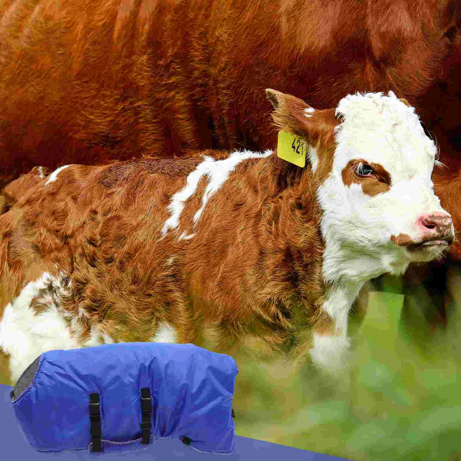 Homemade Kit Calf Vest Warm Apparel Jacket with Hat Winter Clothes Man En Pour Feeding Feeder