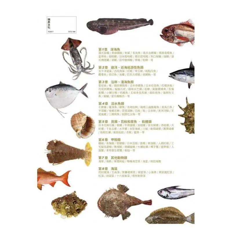 Protect Nature Supporting Character Seafood Eating Guide The Best Reference Textbook For Environmental Awareness Enthusiasts Mar