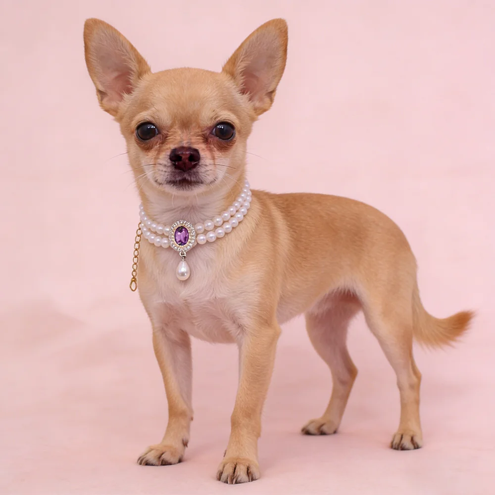 

Faux Pearl Cat Necklace Elegant Adjustable Pet Dog Collar Chain Cute Pet Neck Circle Diamond Pendant Pet Accessories Chihuahua