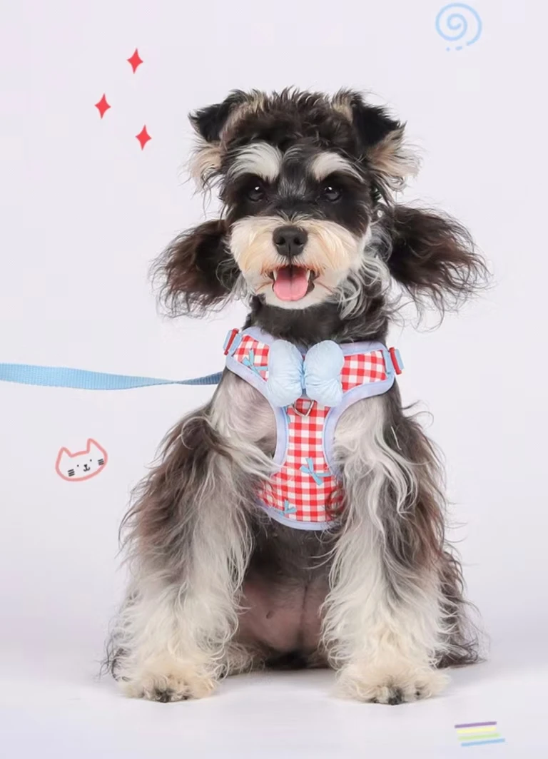 New Cut Bow Breathable Pet Dog Harness Vest Outdoor Walking For Small  Dog Chest Strap