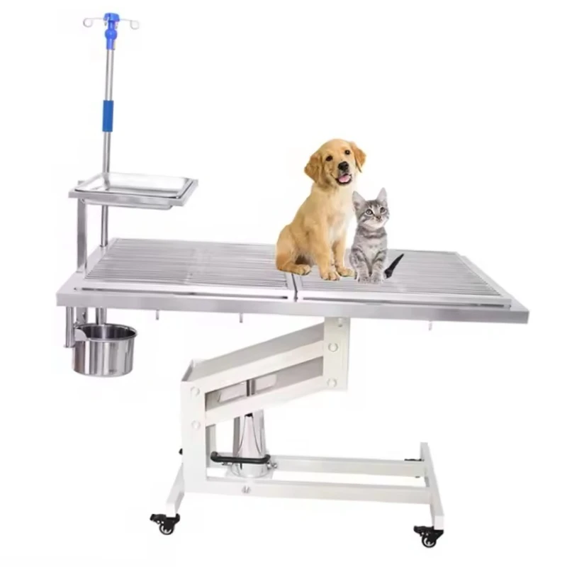 

Medical Electric Pet Grooming Table With LED Light, Veterinary Hairdressing Equipment
