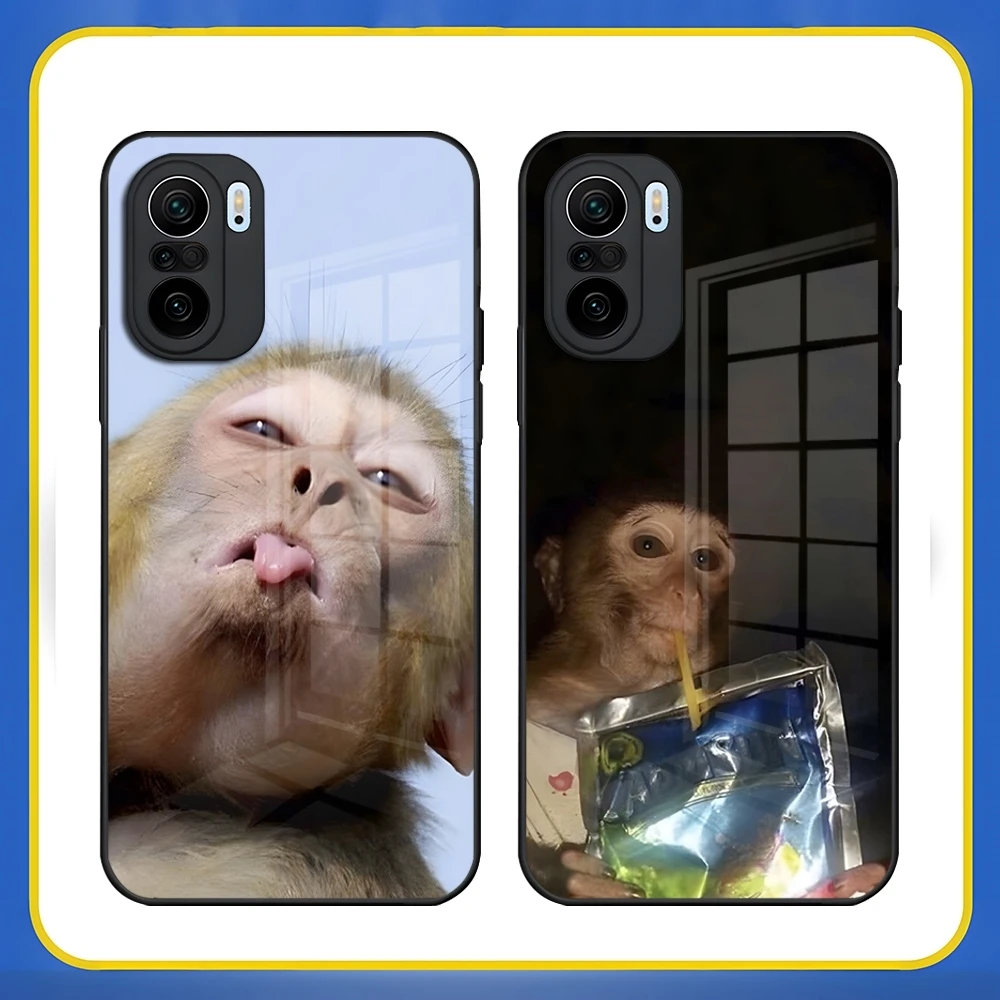 Monkey Sipping Caprisun Meme Phone Case for Redmi 13 12 13c 12c Note 13 Pro Plus 11 12 Pro 10 12s 11s Tempered Glass Cover