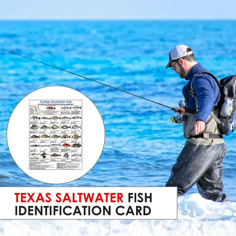 Florida Saltwater Fish Identification Card Color Photos Of Florida Waters Rules Florida Saltwater Fish Identification Card For