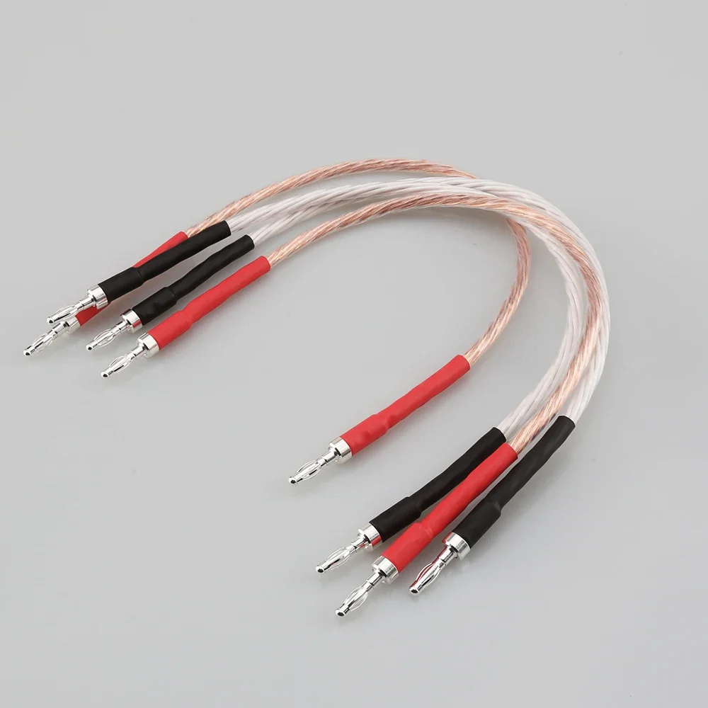 

Audiocrast JUMPER LINKS Performance Speaker Cable Banana Plugs to Banana Plug HIFI Jumper Cables