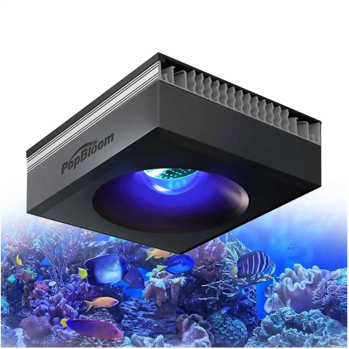 

PopBloom WiFi Marine Aquarium Light, Full Spectrum Saltwater Aquarium Lamp for Reef Coral SPS/LPS Nano Aquarium LED