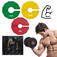 2Pcs Steel Insert Weight Plates Multi-Function Micro Weight Plates Set Barbell Free Weight Plate Set for Strength Training