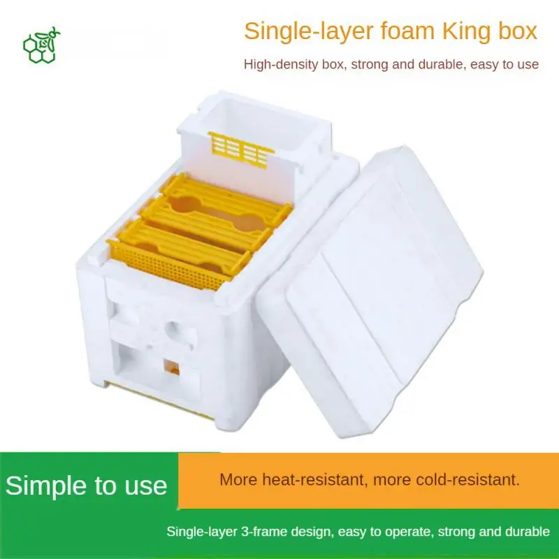 Queen Bee Rearing Mating Beehive Beekeeping Tools Foam Beehives Nuc Harvest Pollination BeesHive Box Beekeeper Suppliers