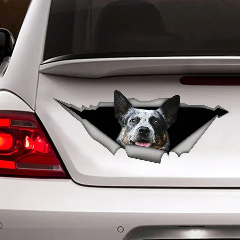 Decalque de carro Blue Heeler, decalque de vinil, decoração de carro, decalque engraçado
