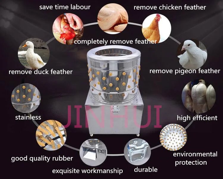 ماكينة ناتف الدجاج من الفولاذ المقاوم للصدأ موديل 30 مزيل ريش الدواجن الثقيلة مع مكون أساسي للمحرك الجديد #6