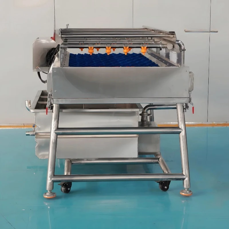Industrial Customized Fruit and Vegetable Polishing and Cleaning Equipment Parallel Brush Washing Machine for Sweet Potato