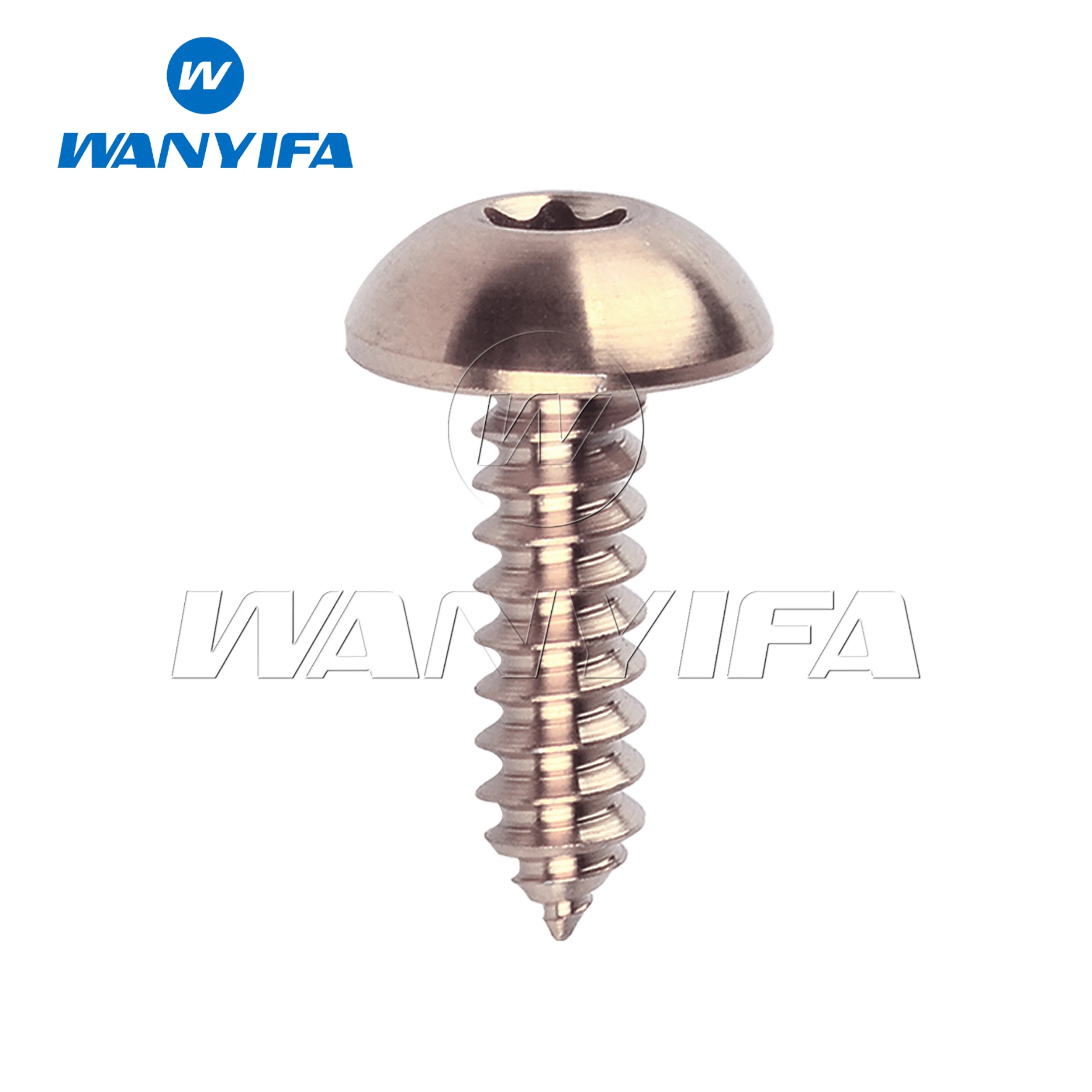 Gr5/Tc4 Titanium Bolt M4/M5x15/17mm Half-round head Self-tapping Screws T25 Torx Head for Bike Motorcycle Car Modified 1Pcs